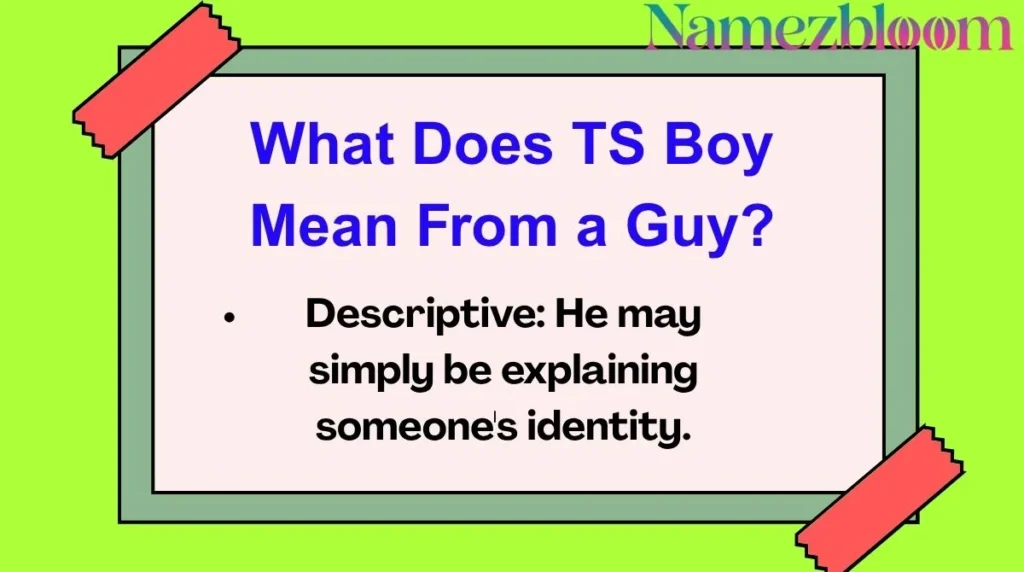 What Does TS Boy Mean From a Guy?