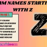 Team Names Starting With Z