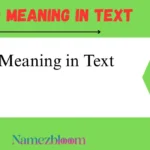 BTS Meaning in Text