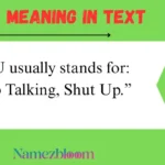STSU usually stands for: STSU Meaning in Text