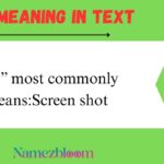 SS Meaning in Text