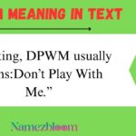 DPWM Meaning in Text