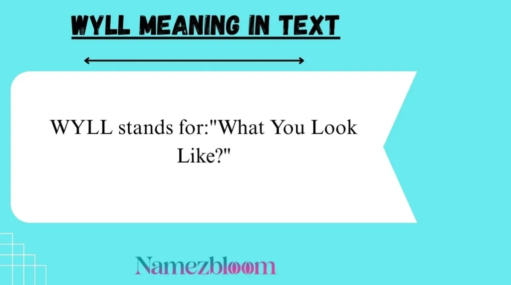 Wyll Meaning in Text