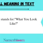 Wyll Meaning in Text