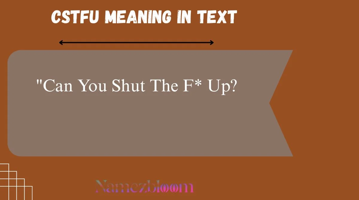 CSTFU Meaning in Text