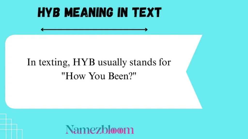 HYB Meaning in Text