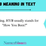 HYB Meaning in Text