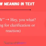 HYW Meaning in Text