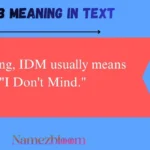IDM Meaning in Text