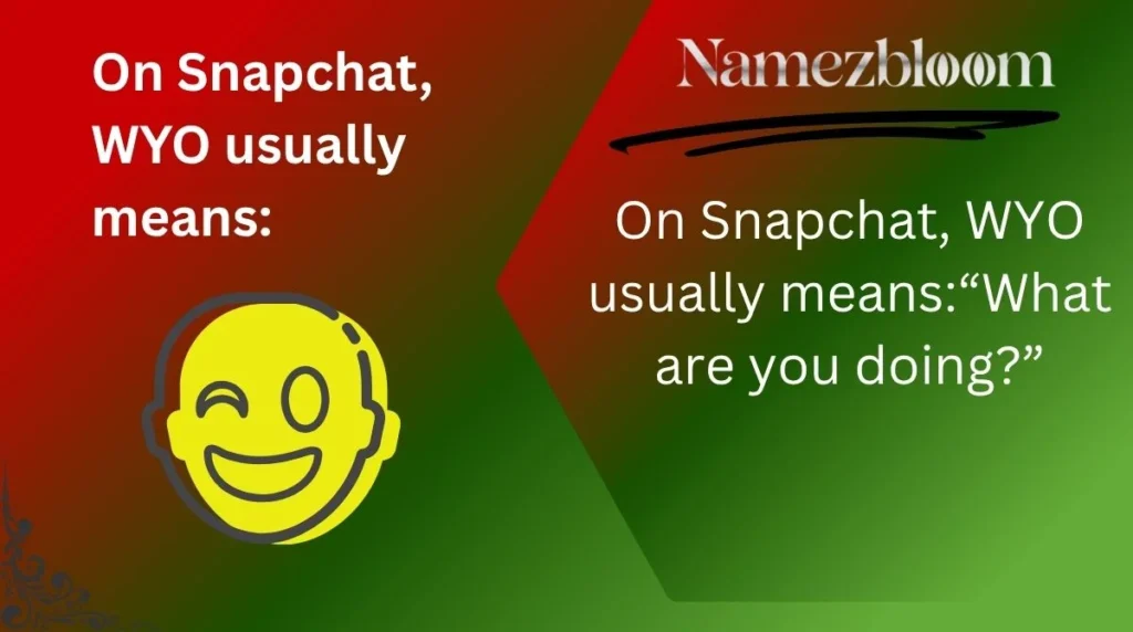On Snapchat, WYO usually means: