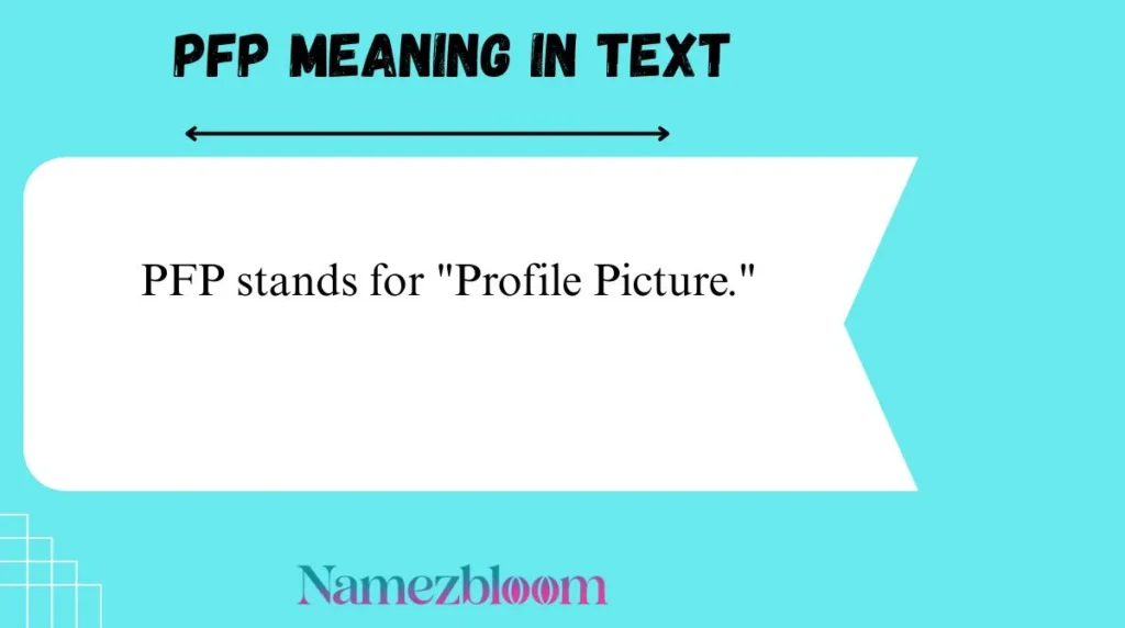PFP Meaning in Text