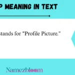 PFP Meaning in Text