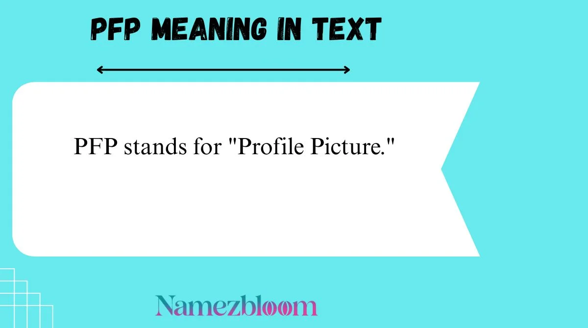 PFP Meaning in Text