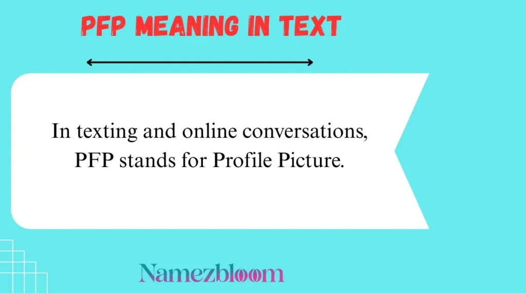 PFP Meaning in Text