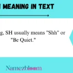SH Meaning in Text