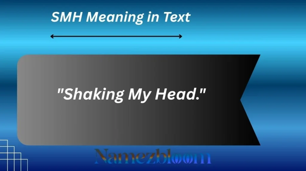 SMH Meaning in Text