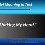 SMH Meaning in Text