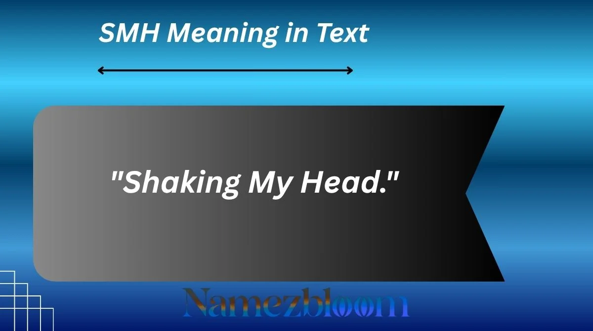 SMH Meaning in Text
