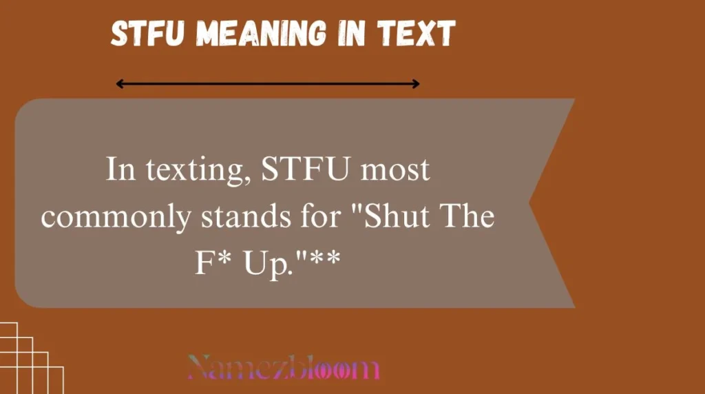 STFU Meaning in Text
