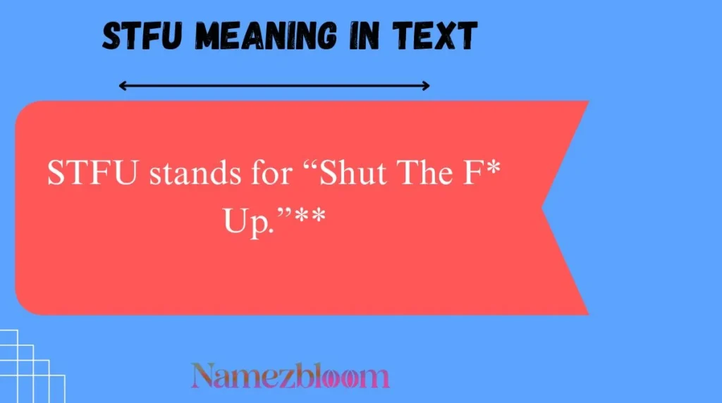 STFU Meaning in Text