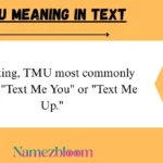TMU Meaning in Text