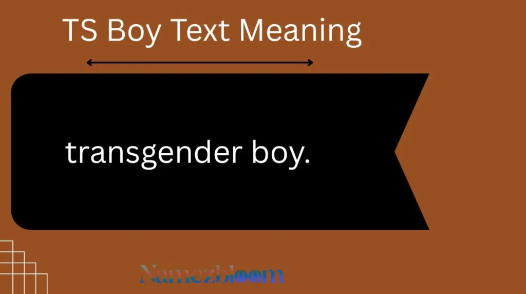 TS Boy Text Meaning