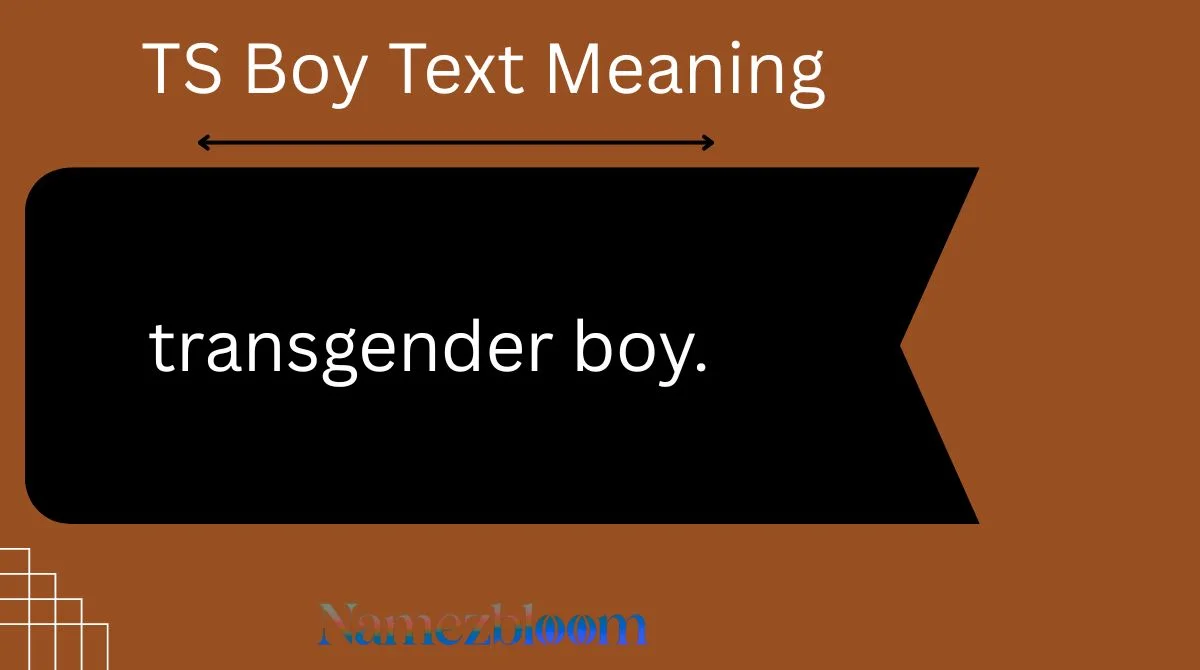 TS Boy Text Meaning