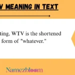 WTV Meaning in Text