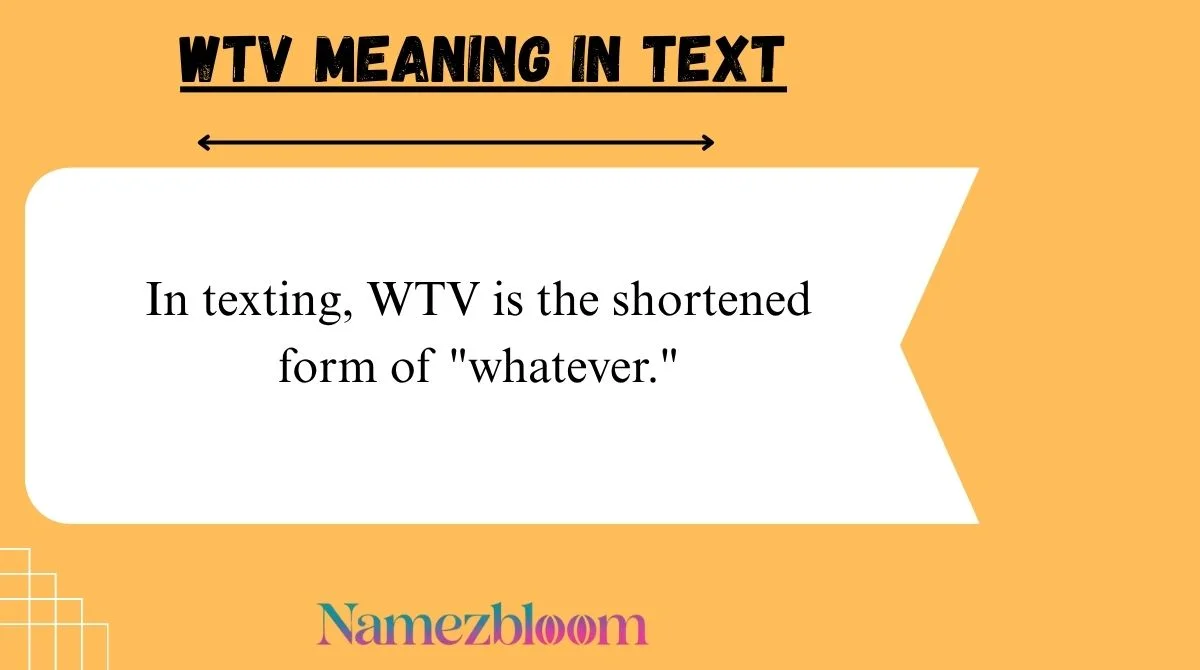 WTV Meaning in Text