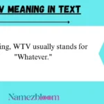WTV Meaning in Text