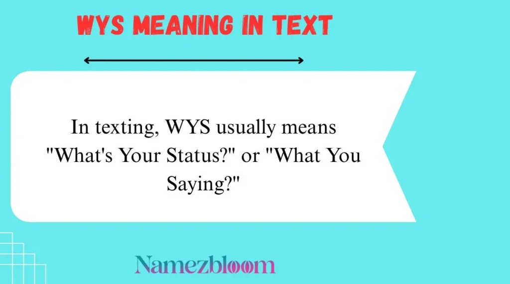WYS Meaning in Text