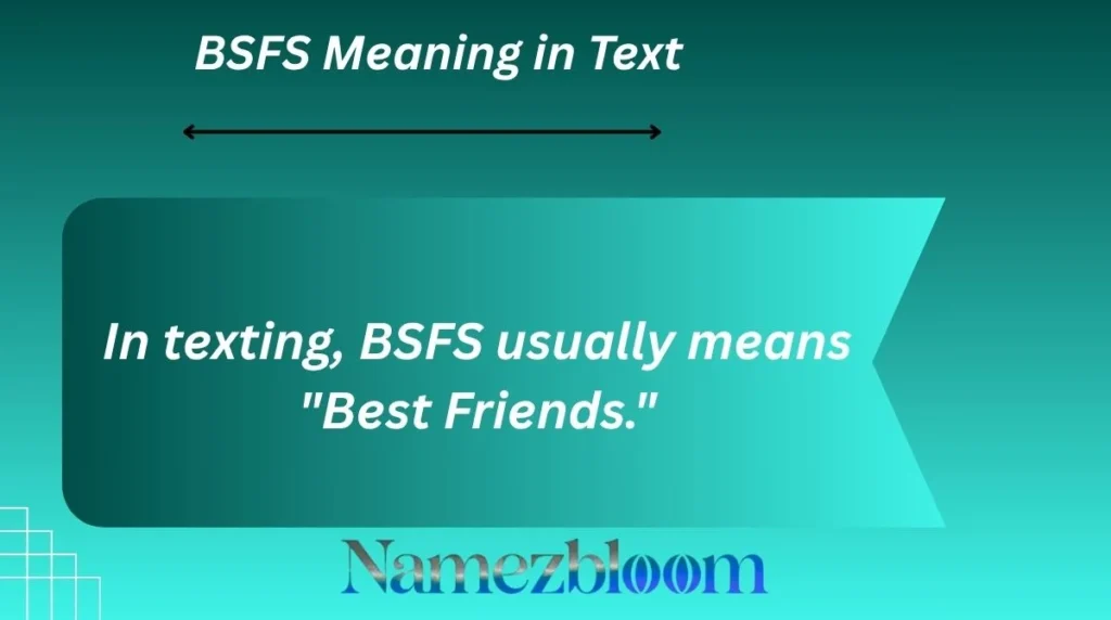 BSFS Meaning in Text