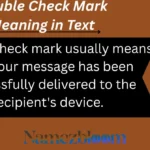 Double Check Mark Meaning in Text