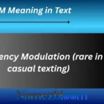 FM Meaning in Text