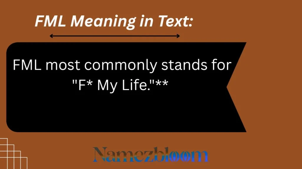 FML Meaning in Text
