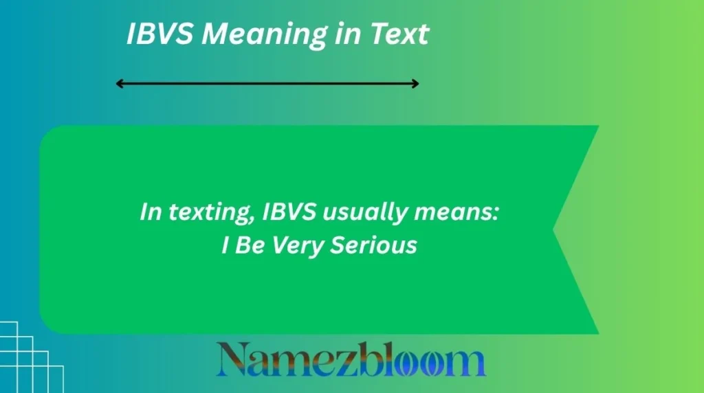 IBVS Meaning in Text