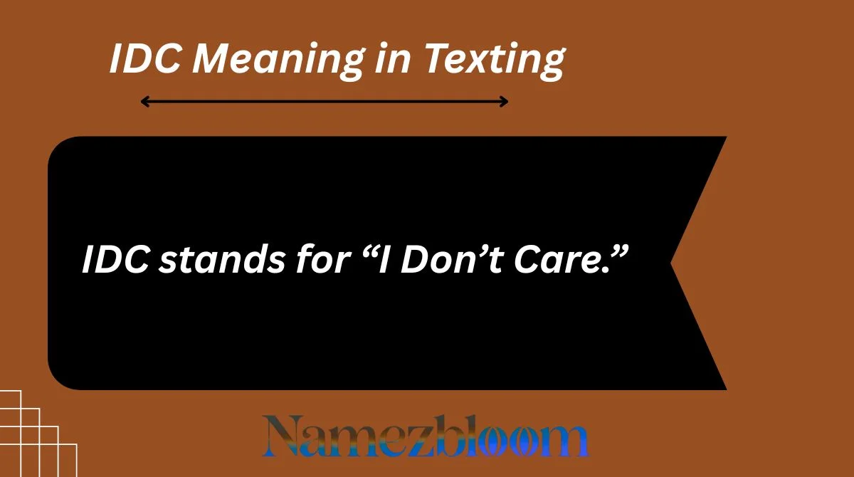 IDC Meaning in Texting
