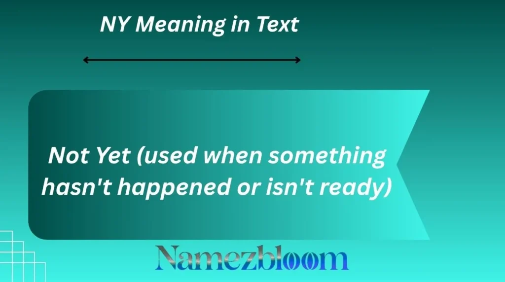 NY Meaning in Text