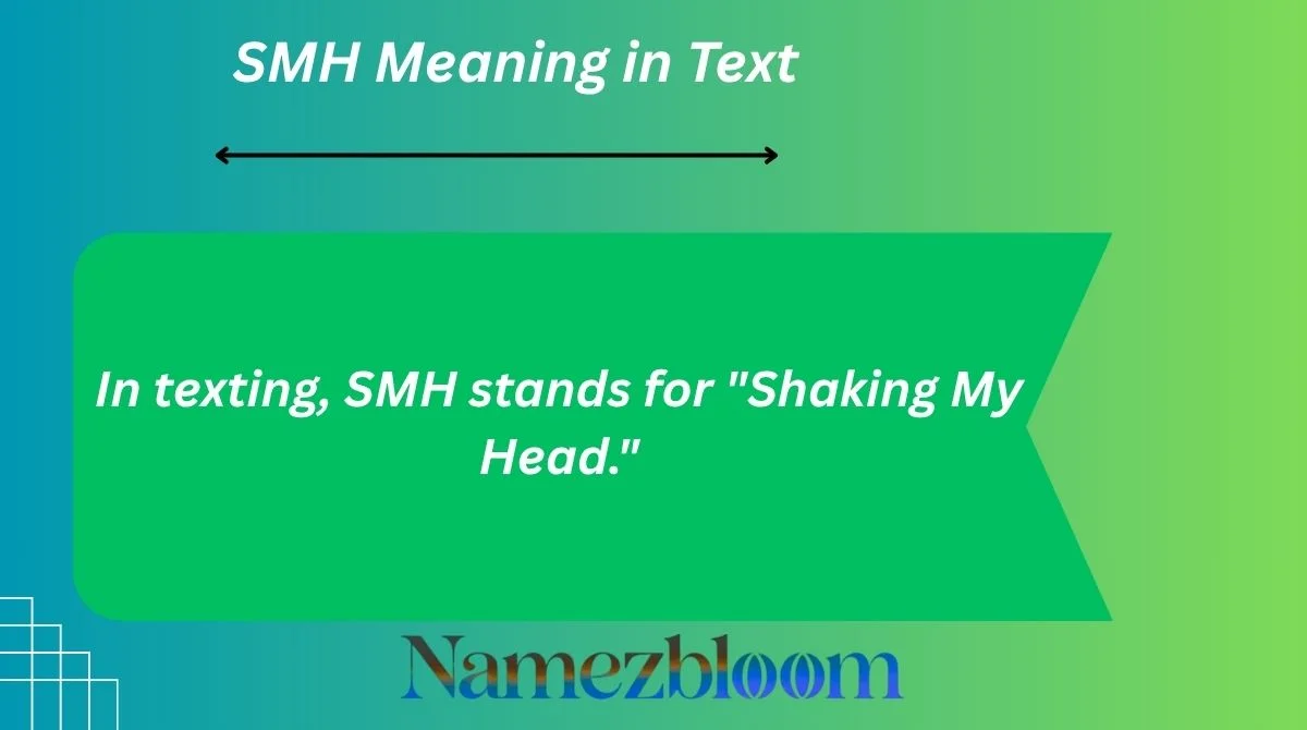 SMH Meaning in Text