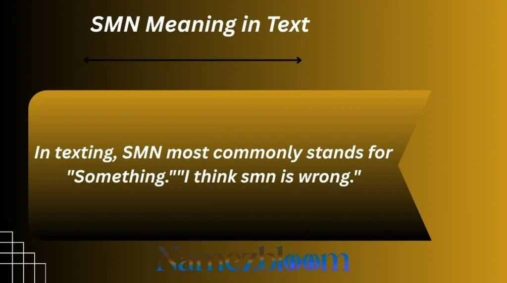 SMN Meaning in Text