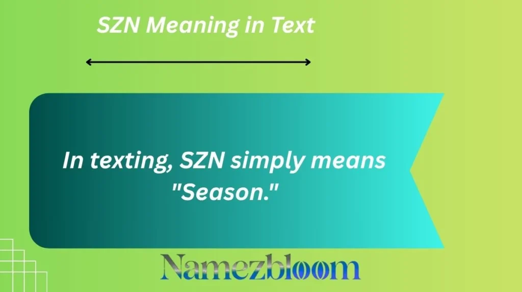 SZN Meaning in Text