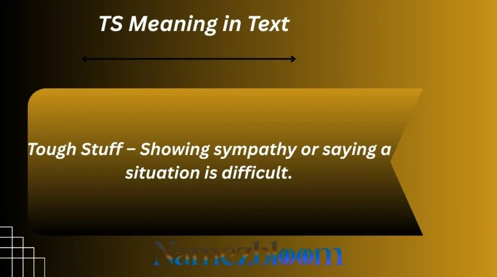 TS Meaning in Text