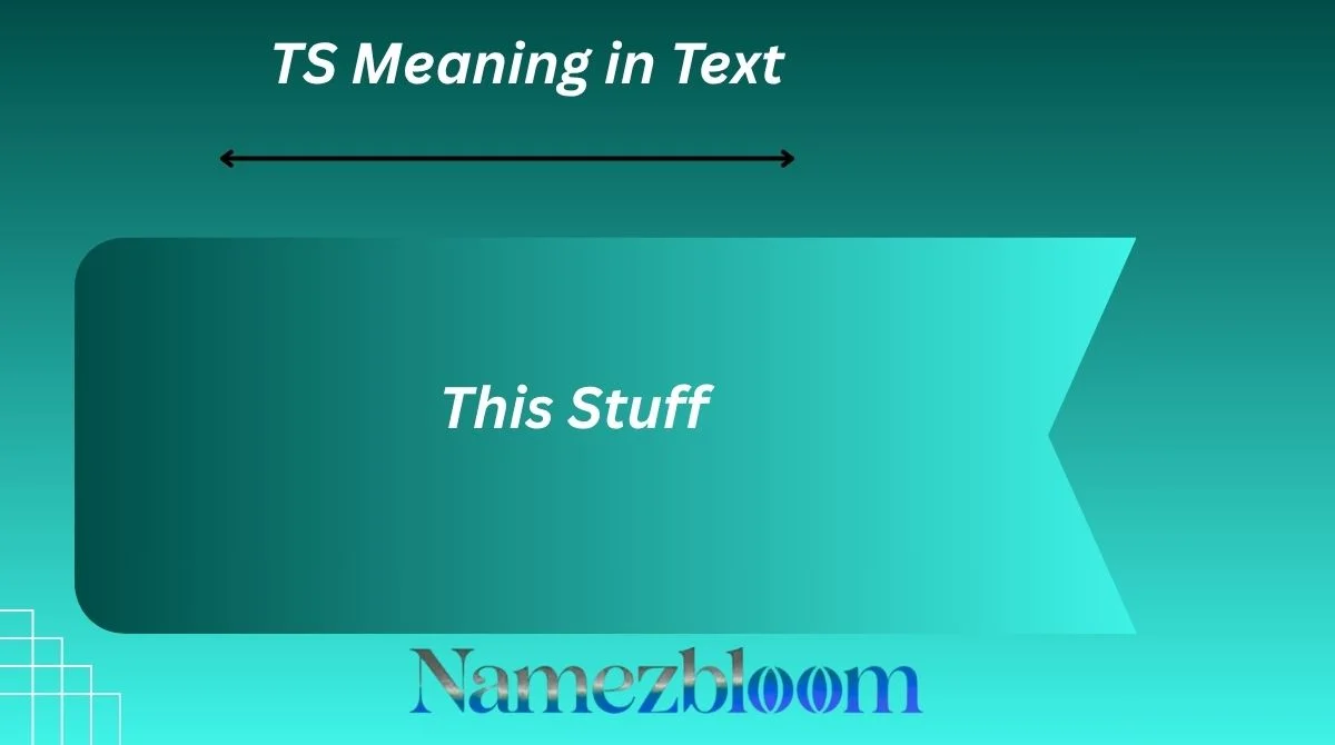 TS Meaning in Text