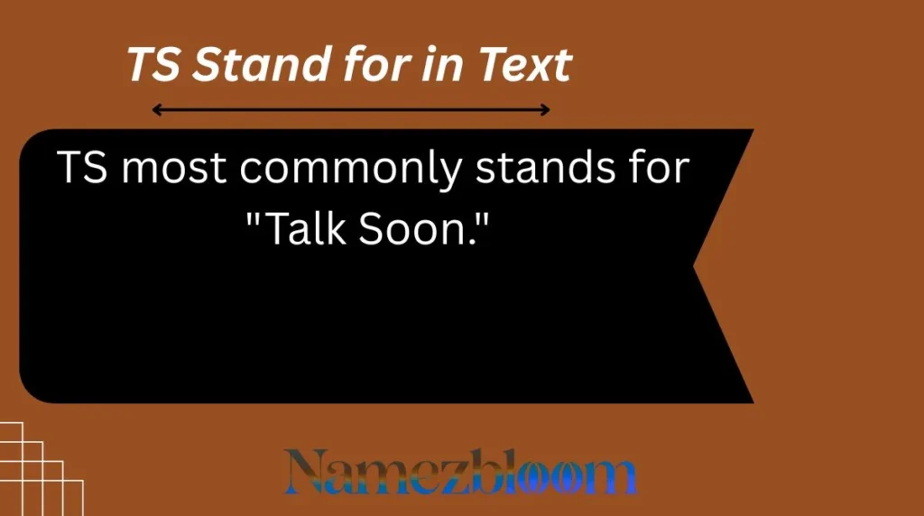 TS Stand for in Text