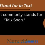 TS Stand for in Text