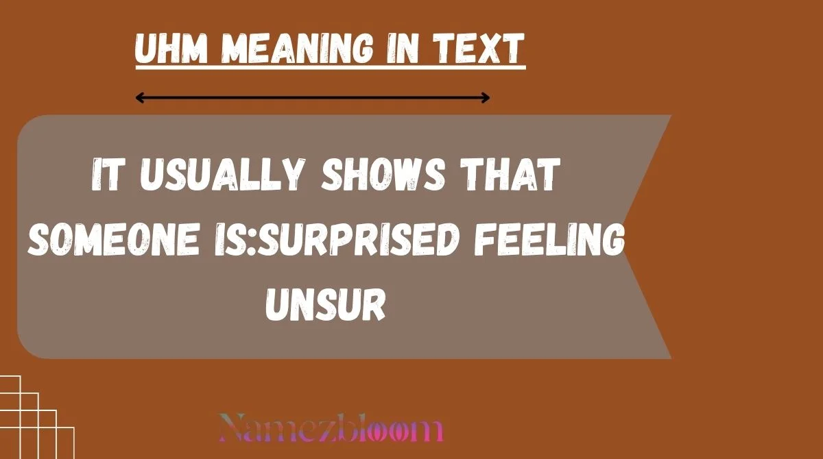 UHM Meaning in Text