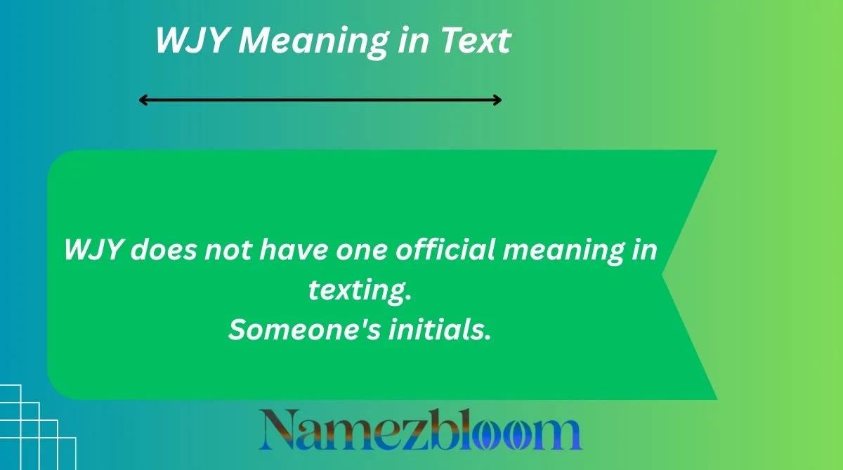 WJY Meaning in Text