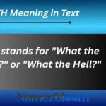 WTH Meaning in Text