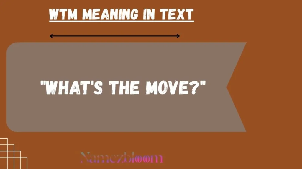 WTM Meaning in Text