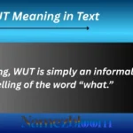 WUT Meaning in Text